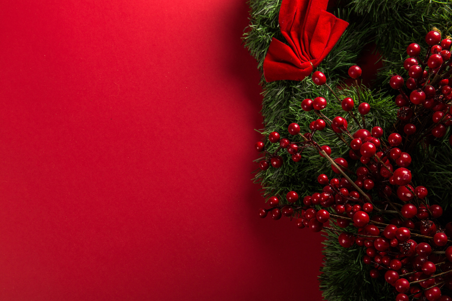 Christmas greenery on red background